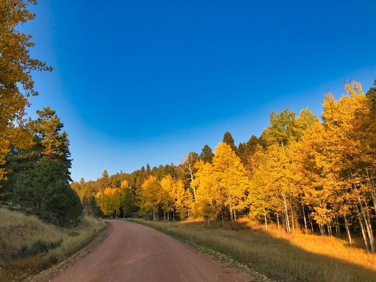 Pine Ridge - Memories Are Made Here! Florissant Esterno foto